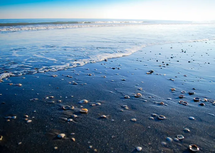 Jonni Ξενοδοχείο *